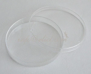 Petri Dish, Homebrewing