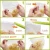 Import Plastic Bag Sealer Clips Sticks Chips by Trendy Cooks,Keep Bags Air / Water Tight from China