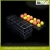 Import Plastic Egg Tray from China