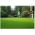 Import Plastic Garden Supplies Artificial Plants and Grass from China