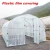 Import Plastic Greenhouse grow tent mini greenhouse garden greenhouse  with low price from China