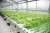 Import Plastic Greenhouse multi span film green house from China