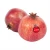 Import Pomegranate New Crop Competitive Price Best Price from Republic of Türkiye