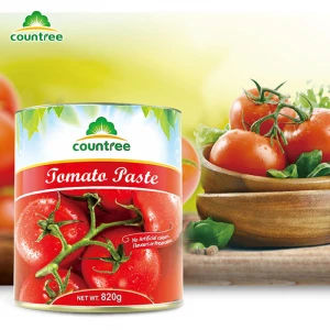 Popular Dressing Preserved Canned Vegetables Ketchup Tomato Paste