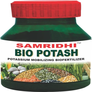 Potash Mobilizing Bacteria (KMB) Bio Fertilizer
