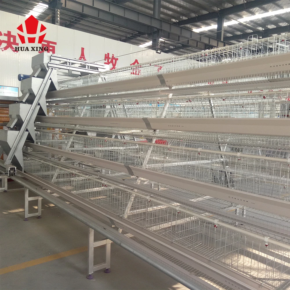 poultry farm equipment wire mesh a type laying chicken cage