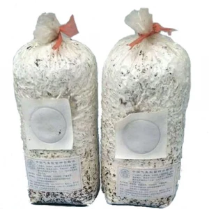 PP  Dried straw mushroom filter bag for mushroom spawn growing