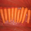 Premium New Crop China  Red Fresh Carrot For Hot Sale