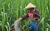 Import Price Agriculture Use Nitrogen Fertilizer Ammonium Sulfate Fertilizer from China