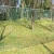 Import privacy fence plant trellis green plastic square mesh garden fence netting from China