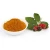 Import Private Label Natural Vitamin C Rosehip Powder Cosmetic Cleaning Face and Body Scrub from Bulgaria