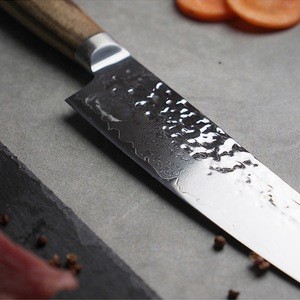 Professional fashion wooden handle Multi-layer stainless steel work sharp fruit as seen tv damascus kitchen knives