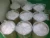 Import Pure Natural Crystal CBD Plant Powder from China