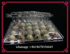 PVC plastic quail egg packing tray /plastic box packaging for 12/24/30 quail eggs