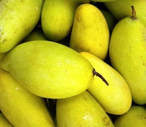 Quality Fresh Sweet Mango for sale