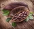 Import raw cacao beans / Top Quality Cacao Beans from Ukraine