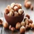 Import Raw Hazelnut / Organic Grade Hazelnut/Hazel Nuts from China