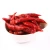 Import Red chili pepper dried red paprika hot selling from China