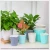 Import resin creative shopping paper bag shape succulent indoor and outdoor decor flowerpots from China