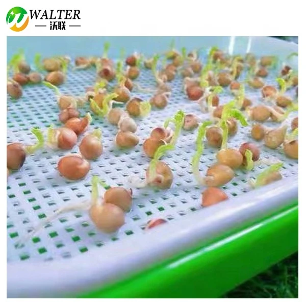 Seedling Tray Double Layer Sprout Plate Hydroponics System To Grow Nursery Pots
