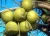 Import Serenoa repens berry extract in bulk/Saw Palmetto P.E/serenoa repens extract total fatty acid from China