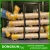Import SICOMA Cement Screw Conveyor SC168 for Cement Silo from China