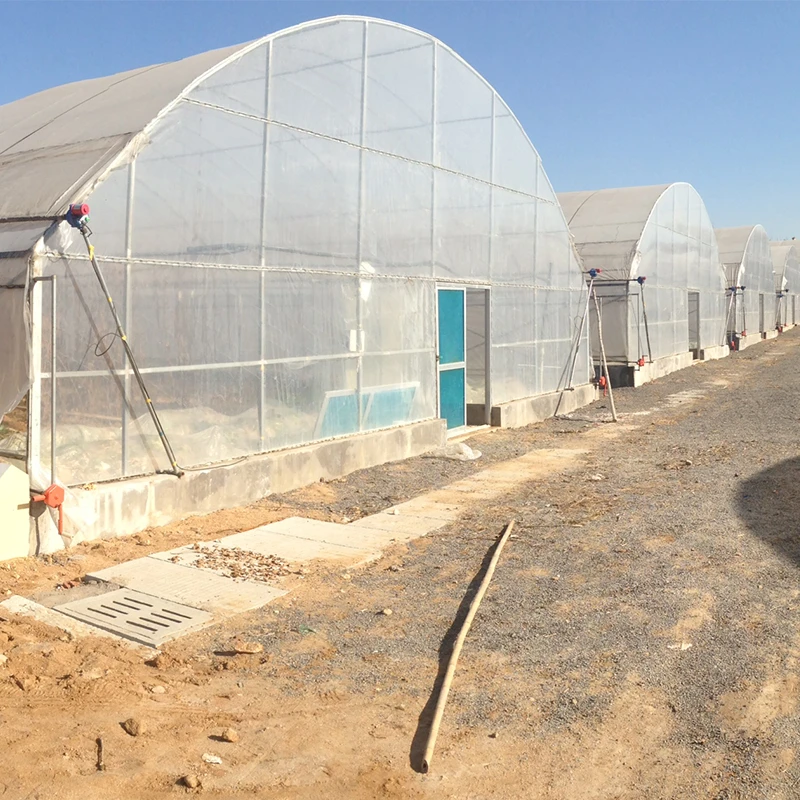 Single Span Plastic Film Agricultural Tunnel Greenhouse