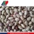 Import Small Red Beans from China