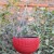 Import small size thickened resin plastic garden pot imitate bamboo hanging wall planter from China