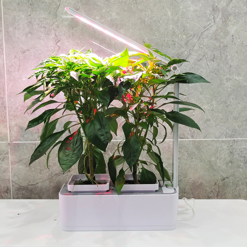 Buy Smart Indoor Herb Garden Led Grow Light Kit Hydroponic Grow System ...