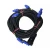 Import Socapex 19pin power cable with powercon blue plugs from China