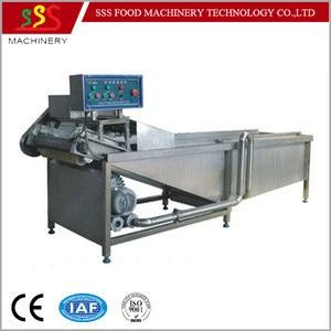 Strong Competitive High Capacity Vegetable and Fruit Washing Machine