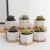 Import Succulent Pots, White Mini Ceramic Flower Planter Pot with Bamboo Tray from China
