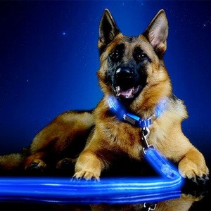 Super bright double optic fiber  flashing led dog leash