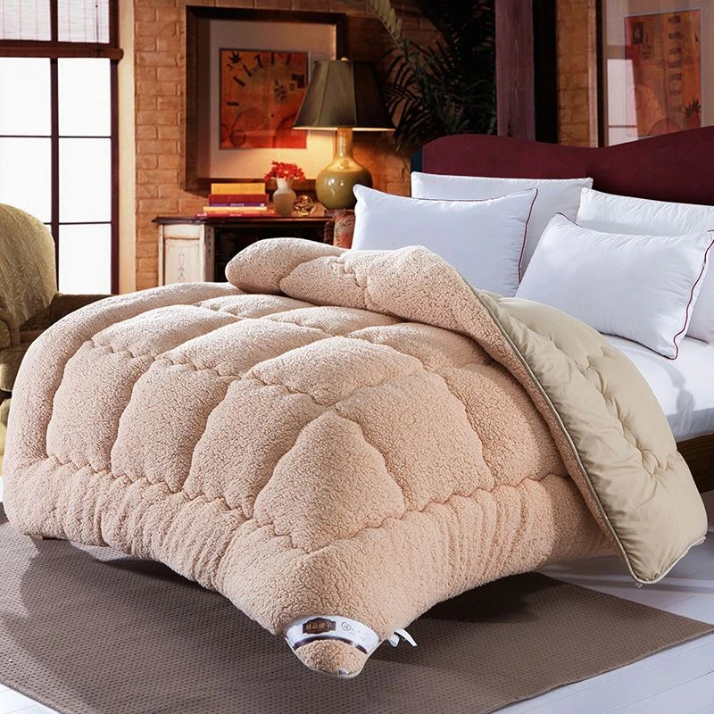 Super Warm Lamb quilt winter blanket double-sided velvet quilt thickened warm  comforter customized withTwin comforter customize
