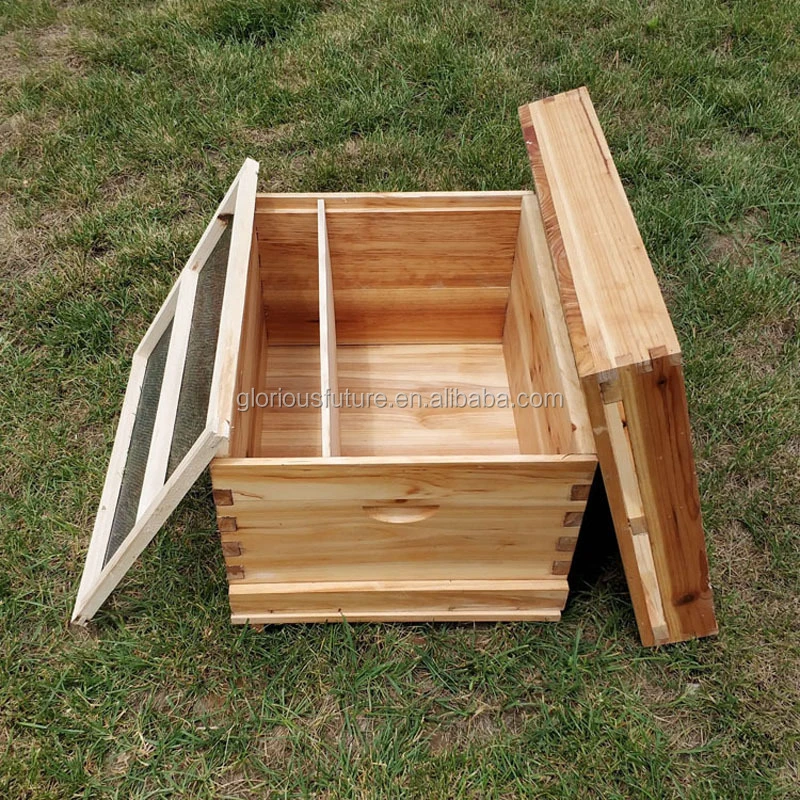 Support Customized Agricultural Beekeeping Hive Wooden Bee hives