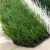 Import synthetic grass used soccer fields cheap sport artificial turf 50mm stuff grass carpet from China