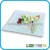 Import tableware silk screen glass dishes from China