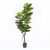 Import Tall Silk Leaves Large Faux Plant Artificial Ficus Tree for Garden Decoration from China