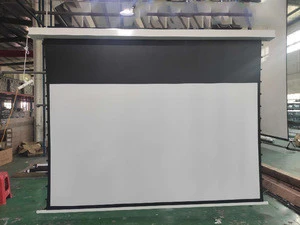 Telon cinema screen In-Ceiling Electric Remote Control Tab Tension Intelligent Motorized ceiling Projection Screens