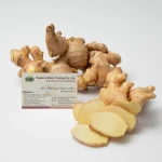 Thailand Fresh Ginger Hot Sale Ginger Fresh