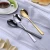 Import Titanium Gold Long Handle Stainless Steel Black Serving Salad Spoons from China