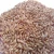 Import Top Grade Barley for Feed and Human Consumption from South Africa