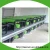 Import Top value Teenwin 3kw 5kw biogas generator/biogas generation price from China