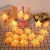 Import TS 10 Battery Operated LED lights Multi Pentagram Indoor from China