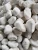 Tumbled Snow White Pebble Stone for Landscaping