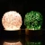 Import Tumbled Stone Night Light,Rainbow Fluorite Tumbled Stone Lamp,Rose Quartz Globe Lamp AMETHYST LAMP Home Decorate from India