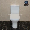 UK Bathroom Design Washdown Close Coupled Toilets from China