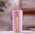 Import Ultrasonic Diffuser Mini Bottle Desk Desktop Facial Home Air Purifier Aroma Diffusers Humidifier with colorful LED Light from China