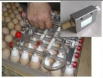 Vacuum Egg Lifter